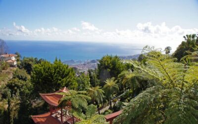 Funchal: Monte Palace Tropical Gardens Tuk Tuk Tour - A Scenic Church Stop Before the Gardens
