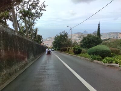 Funchal: Monte Toboggan and Old Town Tour by Tuk-Tuk - The 20-minute climb to Monte at 585 meters (and why it’s part of the fun)