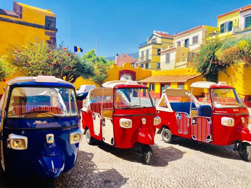 Funchal: Monte Toboggan and Old Town Tour by Tuk-Tuk - The basket-cart descent: what to expect from the 2 km ride