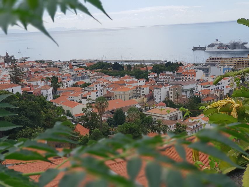Funchal: Monte Toboggan and Old Town Tour by Tuk-Tuk - Price and logistics: the real total and the smartest way to plan it