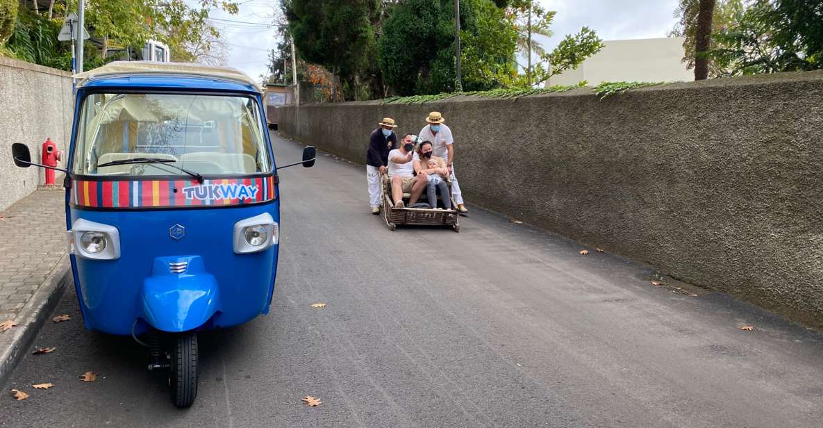 Funchal: Monte Tropical Garden & Toboggan Ride by Tuk Tuk - Key highlights to look for