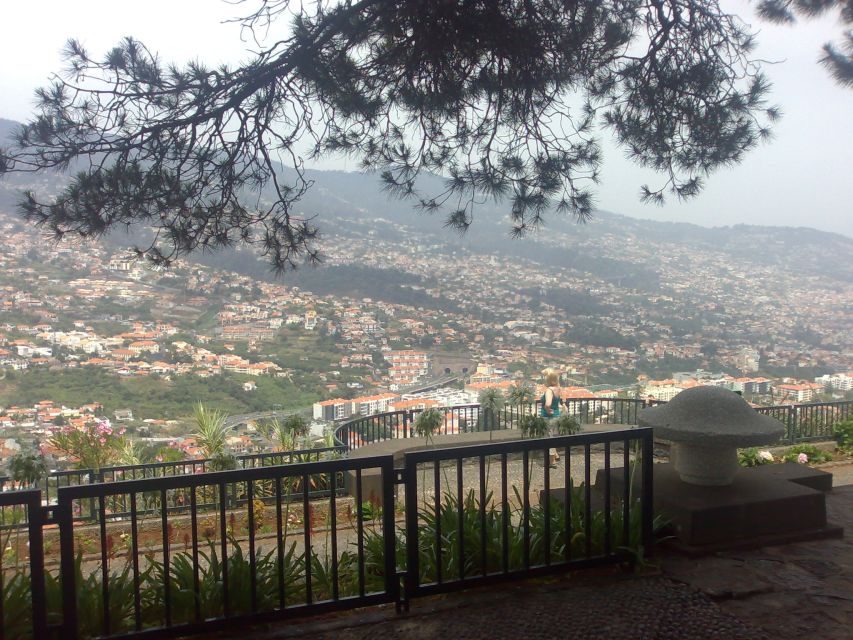 Funchal: Nuns Valley Half Day Tour - Road reality and pacing: what to expect on the ground