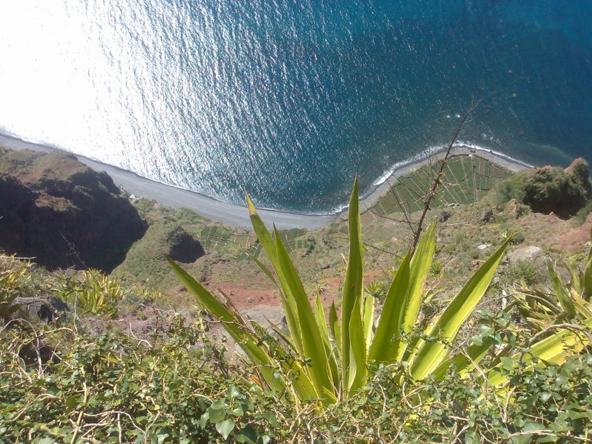 Funchal: Nuns Valley Half Day Tour - Who should book this and who should skip it