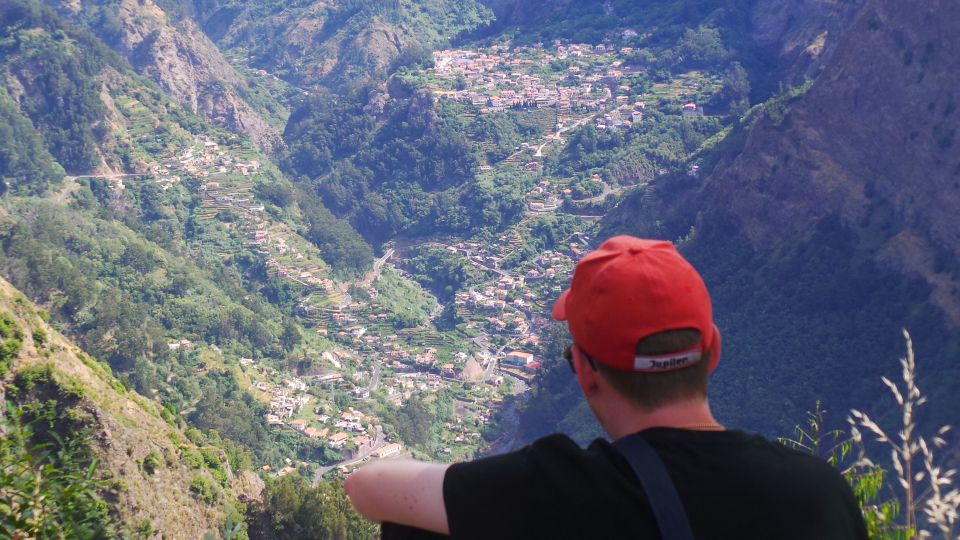 Funchal: Pico Arieiro, Cristo Rei and Dolphins Watching - Price and value: what $104 buys you