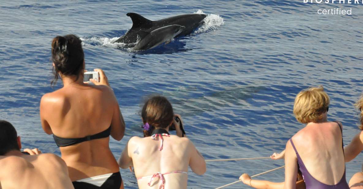 Funchal: Pico Arieiro, Cristo Rei and Dolphins Watching - The quiet drive stop, then Santo António da Serra off-road