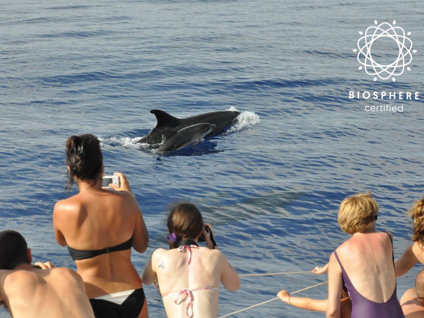 Funchal: Pico Arieiro, Cristo Rei and Dolphins Watching - Santa Cruz terraces and Cristo Rei: farming slopes to a major landmark