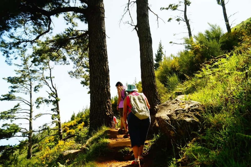 Funchal: Pico do Arieiro Sunrise Plus 2 extra Hiking Trails - Lunch at the Forest Café: Why the Break Is Part of the Experience