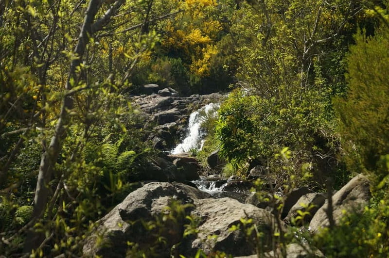 Funchal: Pico do Arieiro Sunrise Plus 2 extra Hiking Trails - The Optional PR3.1 Add-On and Monte Drop-Off