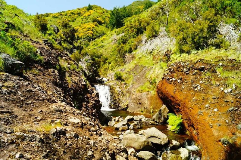 Funchal: Pico do Arieiro Sunrise Plus 2 extra Hiking Trails - Price and Value: Why $33 Can Make Sense Here