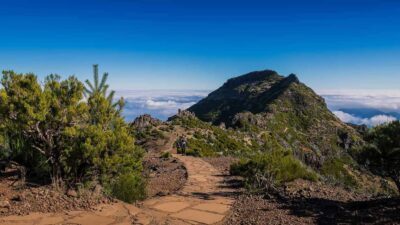 Funchal: PR1.2 Pico Ruivo & Achada Teixeira Hiking Transfer - The PR1.2 route: what the hike up Pico Ruivo feels like