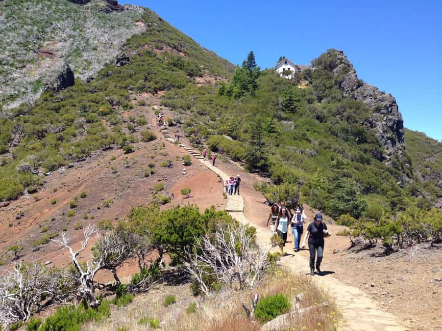 Funchal: PR1.2 Pico Ruivo & Achada Teixeira Hiking Transfer - Should you book the Funchal PR1.2 Pico Ruivo & Achada Teixeira transfer?