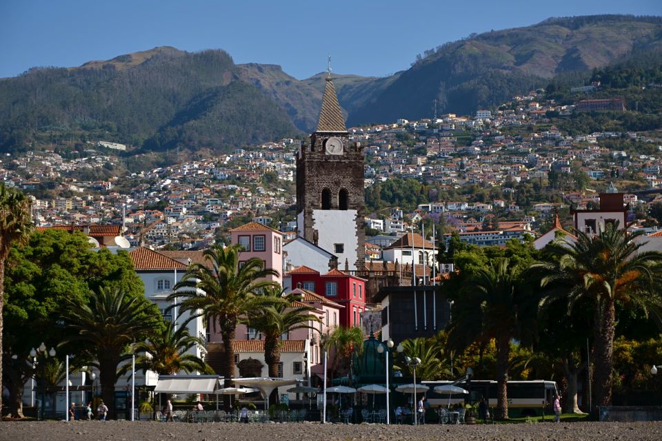 Funchal: Private Customizable Guided Tour by Tuk-Tuk - Route ideas that mix the icons with smart pacing