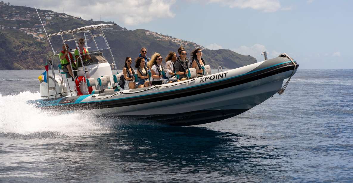Funchal: RIB Whale Watching Cruise and Optional Dolphin Swim - Quick highlights before you go