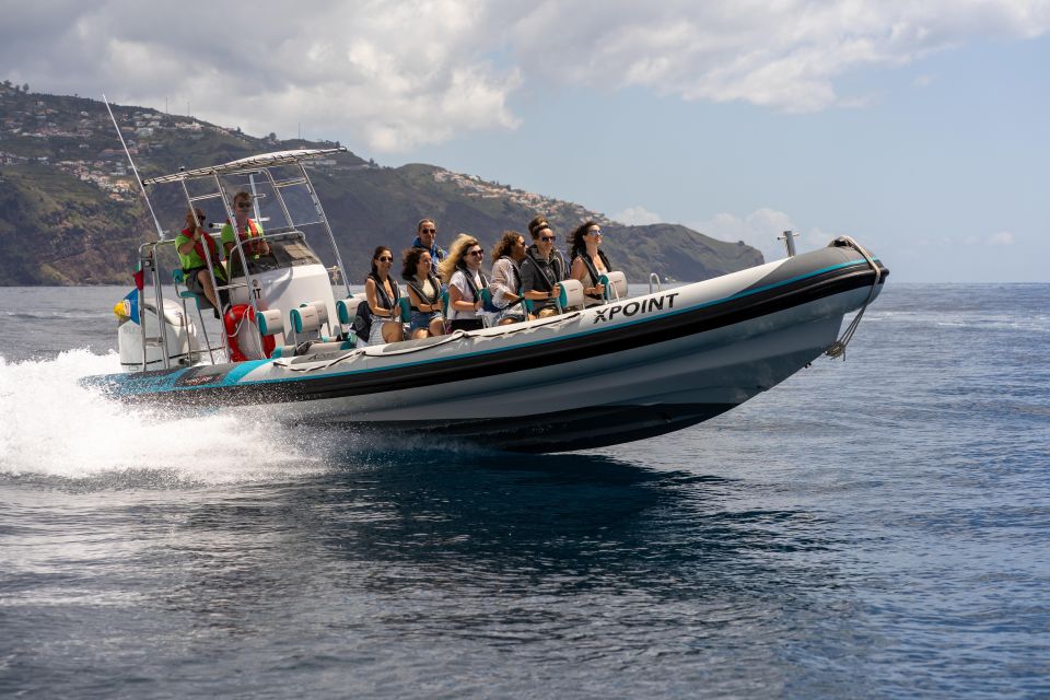 Funchal: RIB Whale Watching Cruise and Optional Dolphin Swim - Why a small-group RIB feels different than big-boat whale watching