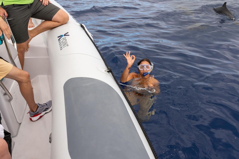 Funchal: RIB Whale Watching Cruise and Optional Dolphin Swim - The 2.5-hour flow: safety briefing, open ocean search, and return to the marina