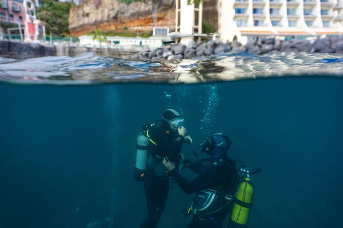 Funchal: Scuba Diving Experience for Beginners - The ocean session: expect fish, rays, and classic Madeira surprises