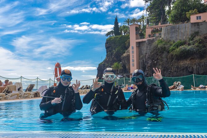 Funchal: Scuba Diving Experience for Beginners - What the 2–3 hour flow really feels like (theory to open-water time)