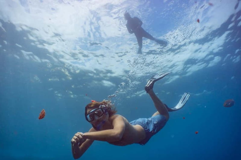 Funchal: Snorkeling Adventure in Eco-Park / Shore or by Boat - Key Things I’d Put On Your Radar