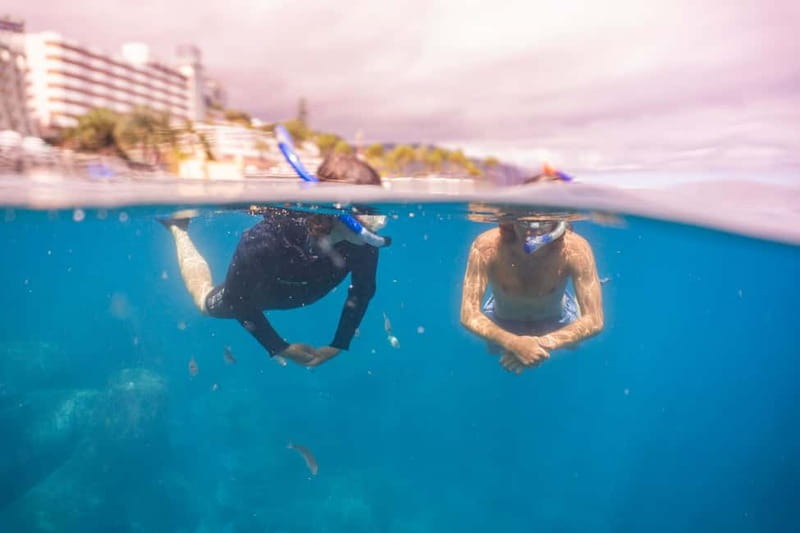 Funchal: Snorkeling Adventure in Eco-Park / Shore or by Boat - Entering Madeira’s Eco-Park Reef From Funchal