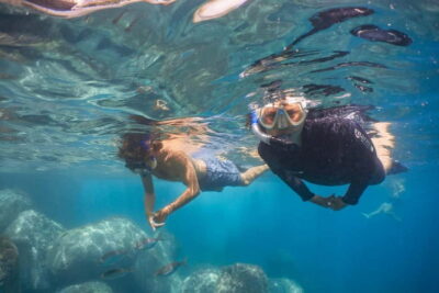 Funchal: Snorkeling Adventure in Eco-Park / Shore or by Boat - Two Options: Shore Snorkeling vs Protected Reserve Boat