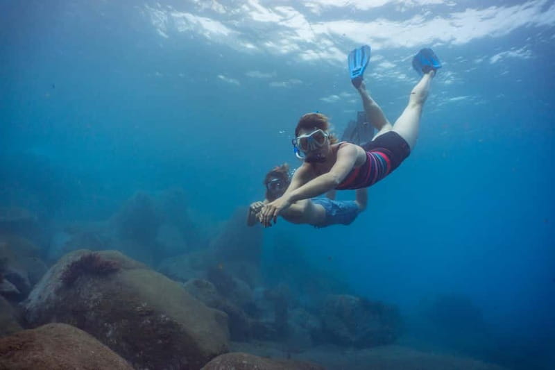 Funchal: Snorkeling Adventure in Eco-Park / Shore or by Boat - Wetsuits and Warmth: The Most Common Decision Point