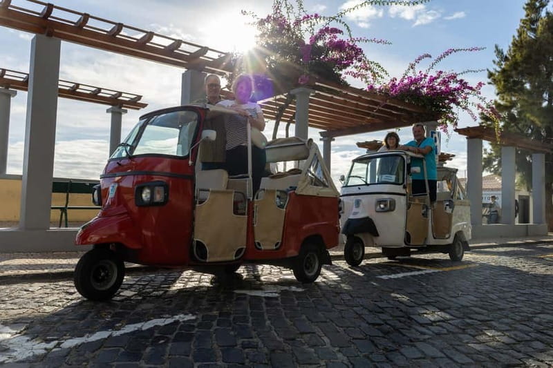 Funchal: Tuk Tuk Tour to the Most Breathtaking Viewpoints - A tuk tuk loop that saves time in Funchal