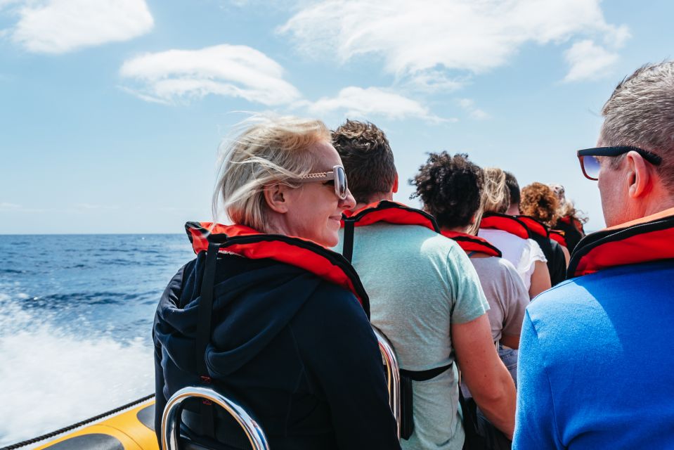 Funchal: Whale and Dolphin Watching Speed Boat Tour - Price and value: is $56 a smart spend?