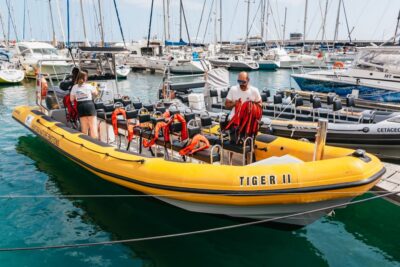 Funchal: Whale and Dolphin Watching Speed Boat Tour - Why Madeira whale watching is better from a speed boat