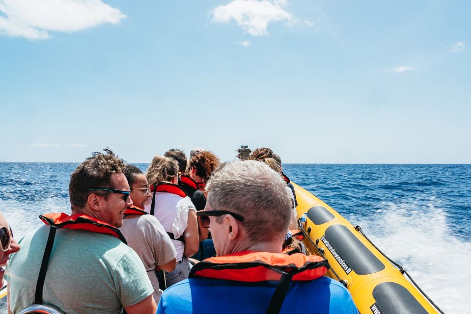 Funchal: Whale and Dolphin Watching Speed Boat Tour - Land spotters and the 1–4 species expectation