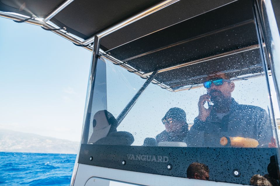 Funchal: Whale and Dolphin Watching Speed Boat Tour - Safety and what’s included in the ticket
