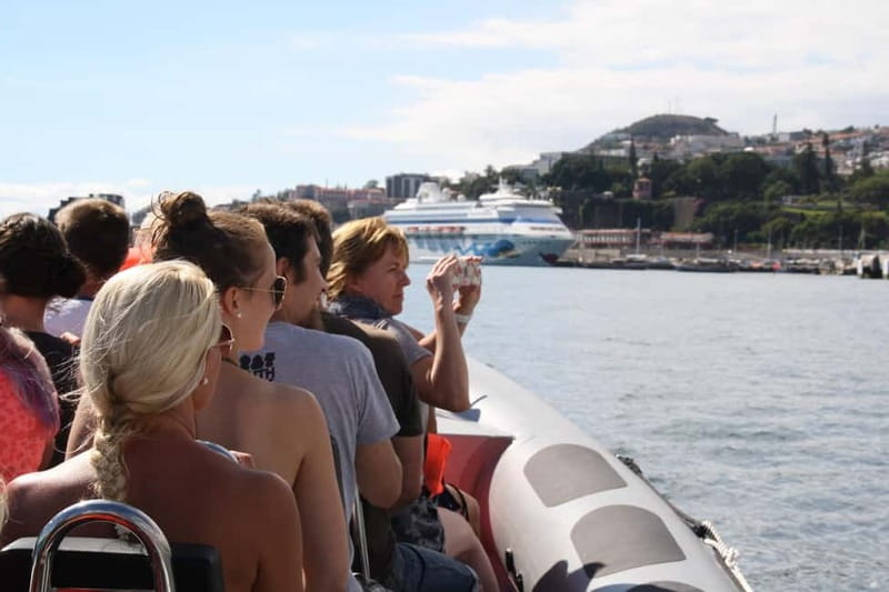 Funchal: Whale Watching and Swimming with Dolphins Cruise - Rota dos Cetáceos: getting started in Funchal (and what timing feels like)
