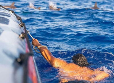 Funchal: Whale Watching and Swimming with Dolphins Cruise - A fast search from the harbor: how the boat ride fits the wildlife hunt