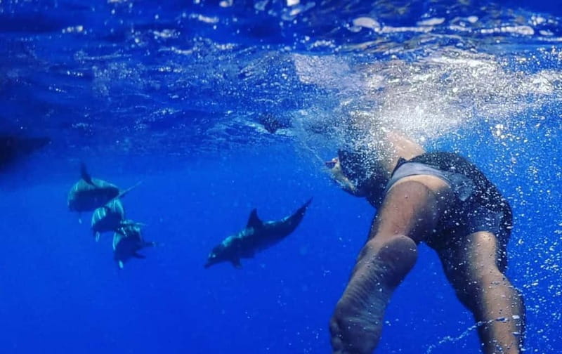 Funchal: Whale Watching and Swimming with Dolphins Cruise - What to wear and bring: small choices that make the boat easier