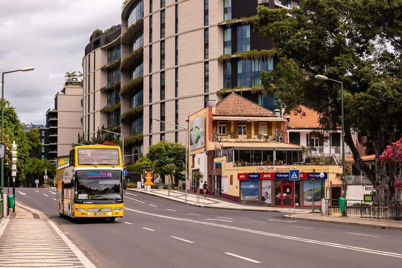 Funchal:Hop-on Hop-off Bus & Whale & Dolphin boat Excursion - FAQ