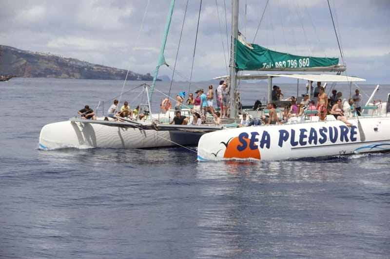 Funchal:Hop-on Hop-off Bus & Whale & Dolphin boat Excursion - Why this combo makes sense in Funchal (bus + catamaran, 2 days)