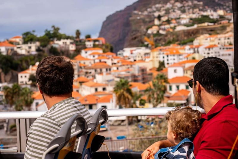 Funchal:Hop-on Hop-off Bus & Whale & Dolphin boat Excursion - VMT catamaran: dolphins, whales, and the Fajã do Cabo Girão swim break
