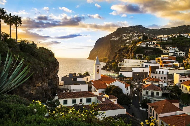Funchal:Hop-on Hop-off Bus & Whale & Dolphin boat Excursion - Should you book this Funchal bus + whale and dolphin catamaran combo?