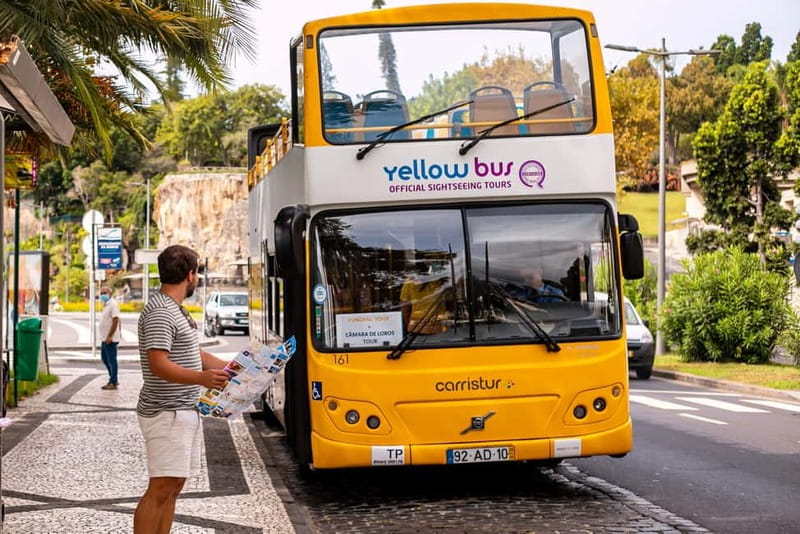 Funchal:Hop-on Hop-off Bus & Whale & Dolphin boat Excursion - The 48-hour hop-on hop-off bus: how to use it like a local