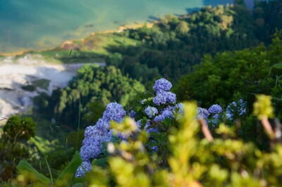 Furnas: Hot Springs, Crater Lake & Geothermal Wonders - Morning Setup: Ponta Delgada Pickup and the Sant Iria Viewpoint Stop