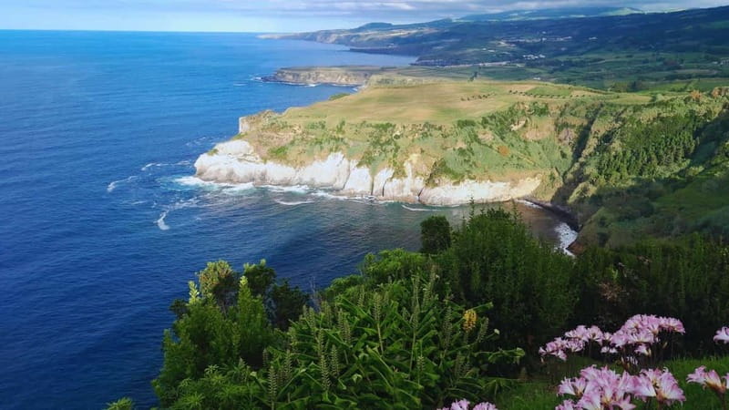 Furnas: Hot Springs, Crater Lake & Geothermal Wonders - Terra Nostra Botanical Garden and Thermal Pool: Optional, But It’s the Stress-Buster