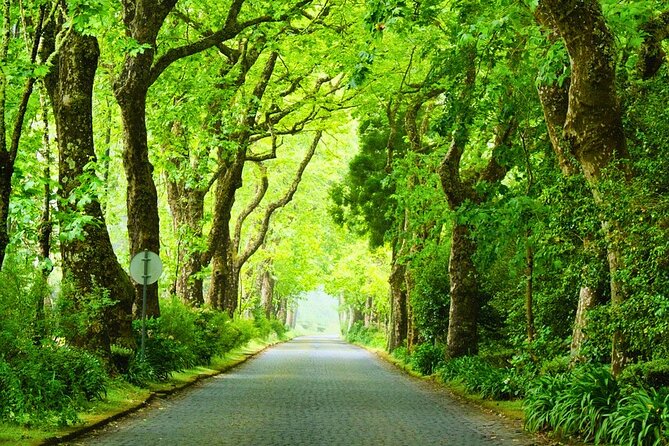 Furnas: Mystic Tour (w/Dinner) - Hot Springs - Key highlights at a glance