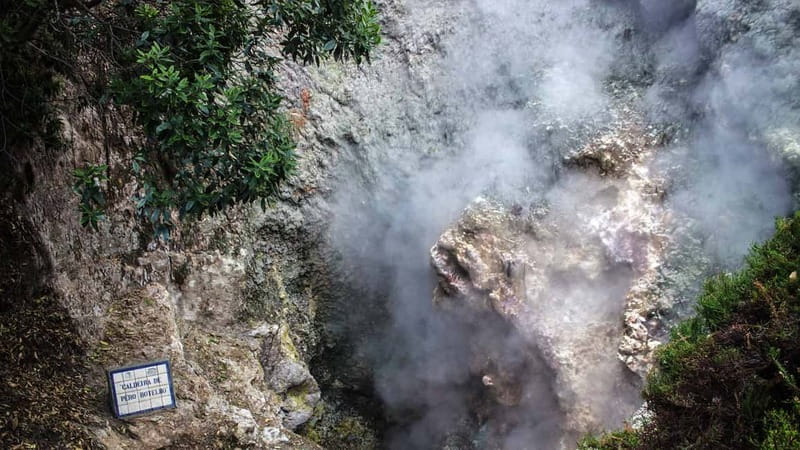 Furnas & Terra Nostra Gardens Biologist-guided e-Tour +lunch - Electric e-Van + Naturalist Guidance: Why This Day Feels Different