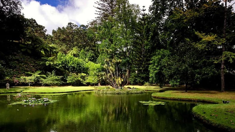 Furnas & Terra Nostra Gardens Biologist-guided e-Tour +lunch - Before You Go: Packing Tips That Prevent Regrets