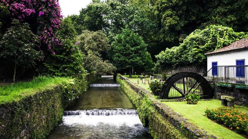 Furnas & Terra Nostra Gardens Biologist-guided e-Tour +lunch - Getting There and the Overall Timing That Keeps It Comfortable
