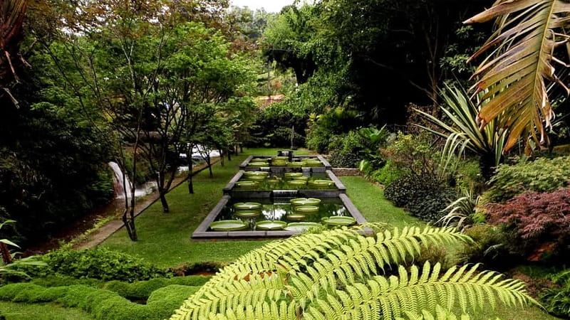 Furnas & Terra Nostra Gardens Biologist-guided e-Tour +lunch - Price and Value: What $101 Includes (and What You’re Paying For)