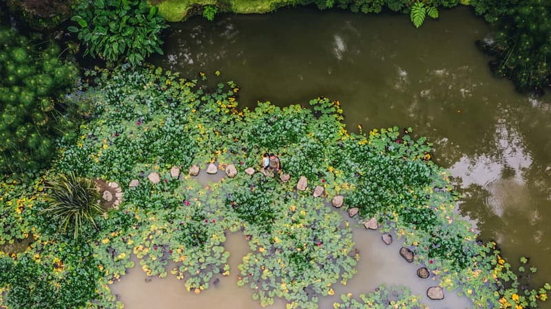 Furnas & Terra Nostra Gardens Biologist-guided e-Tour +lunch - Furnas Crater Lake and Village: Steam, Watermills, and Real Local Atmosphere