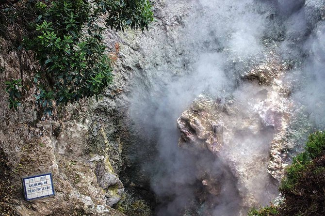 Furnas & Terra Nostra Park: Biologist-guided Botanic Tour +lunch - A biologist-run day in Furnas and Terra Nostra