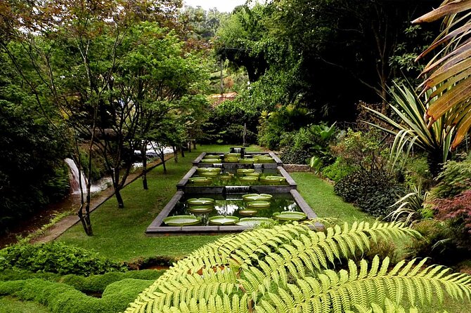 Furnas & Terra Nostra Park: Biologist-guided Botanic Tour +lunch - Lagoa das Furnas: photos, viewpoints, and quick perspective shifts