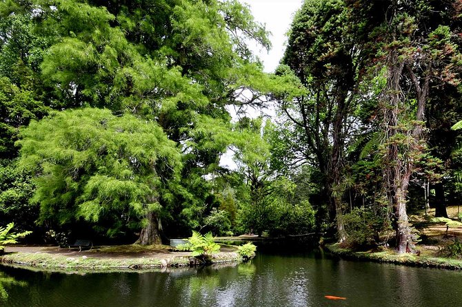 Furnas & Terra Nostra Park: Biologist-guided Botanic Tour +lunch - How long is the day, and what your schedule feels like