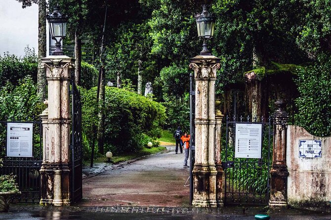 Furnas & Terra Nostra Park: Biologist-guided Botanic Tour +lunch - Price and value: is $103.33 worth it?